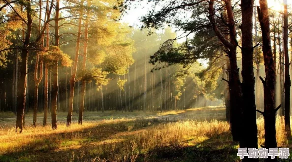 岳丰满多毛的大隂户是什么，展现了自然之美与生命的力量，让我们更加珍惜和尊重每一个生命