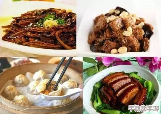 麻d产精国品免费入口，品味无穷的奢华美食让你陶醉其中，尊享独特体验！