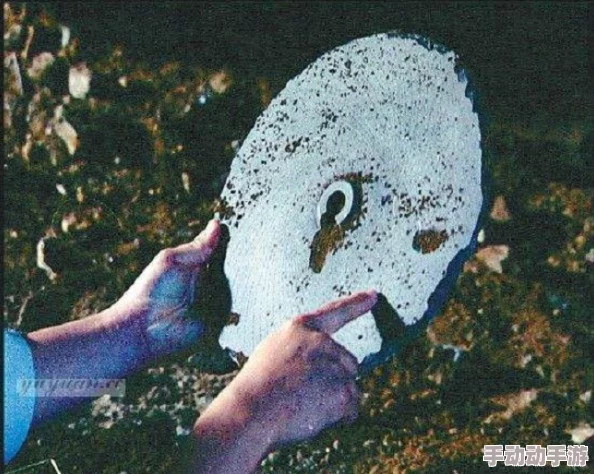 申鹤被丘丘人抓去繁衍后代的奇幻冒险与意外结局 申鹤被丘丘人抓去繁衍后代的奇幻冒险与意外结局