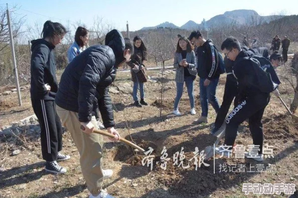 英语老师解开裙子，理解背后的情感与教育意义，让我们深入思考师生关系的复杂性