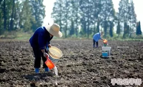 儿耕妈荒废的田，因干旱导致农作物减产，农民呼吁政府提供更多支持与救助措施