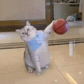 猫メイド像素下载安装免费：如何在手机上轻松获取和安装这款可爱的猫咪主题游戏的详细步骤与技巧