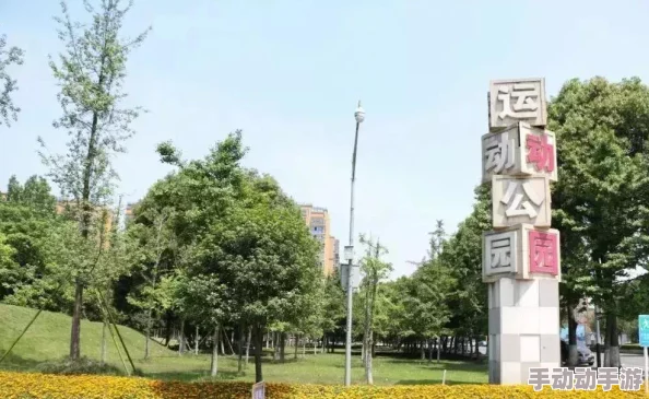 王者荣耀女生无小内无爱心轮滑图片有图有真相:分析游戏文化对青少年心理的影响与团队协作的重要性 王者荣耀女生无小内无爱心轮滑图片有图有真相:分析游戏文化对青少年心理的影响与团队协作的重要性