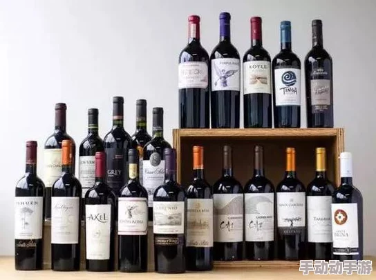 本月美酒：为您推荐几款精选的葡萄酒，带您领略不同产区的独特风味与酿造工艺，让每一口都充满惊喜