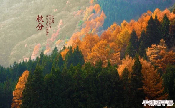 平房女儿小舟和秋分：在传统与现代交汇处的生活哲学与文化反思研究