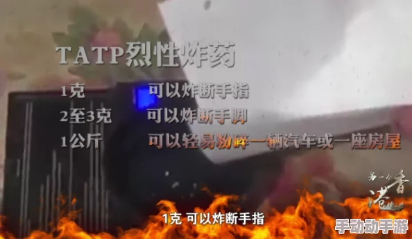 缅甸恐怖网站：揭示网络极端主义如何在东南亚地区蔓延及其对社会安全的影响分析