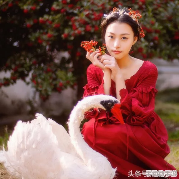 宫廷绮梦：深度解锁手游宝石系统，策略搭配与高效获取技巧全攻略