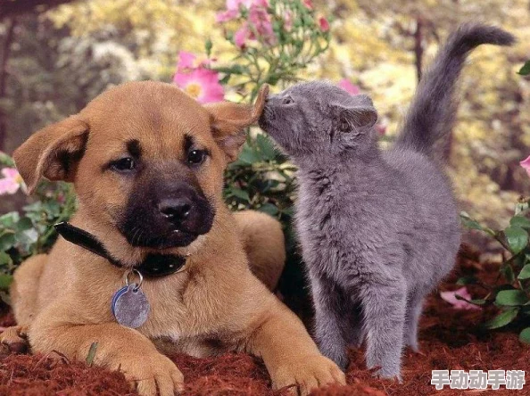 逃脱～孕妇精灵与森之馆游戏4：奇幻冒险中的谜题解锁与角色成长分析