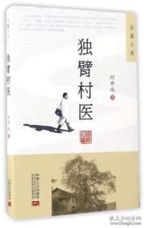 村医王叔和小丽的小说以什么为主：探讨乡村医疗与人际关系交织下的人生百态与情感纠葛