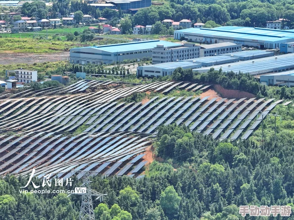 桃花族社区：推动文化交流与乡村振兴，助力居民共同发展新进展