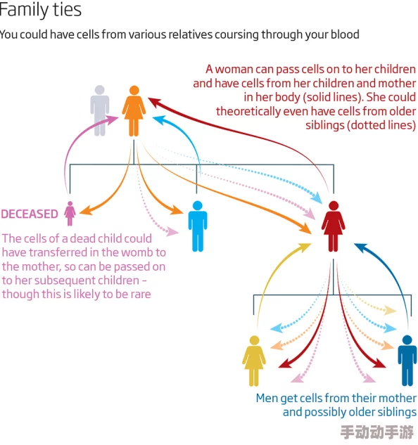 over flower我们不是亲兄妹:探讨家庭关系与情感纽带的复杂性及其对个体成长的影响 over flower我们不是亲兄妹:探讨家庭关系与情感纽带的复杂性及其对个体成长的影响