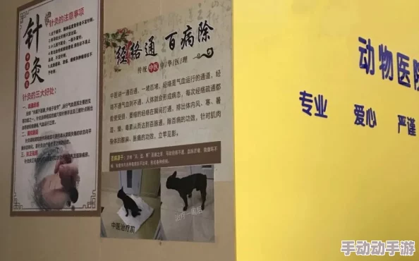 绝世小中医陈思雅:如何用传统中医智慧改善现代健康问题与生活方式的结合 绝世小中医陈思雅:如何用传统中医智慧改善现代健康问题与生活方式的结合