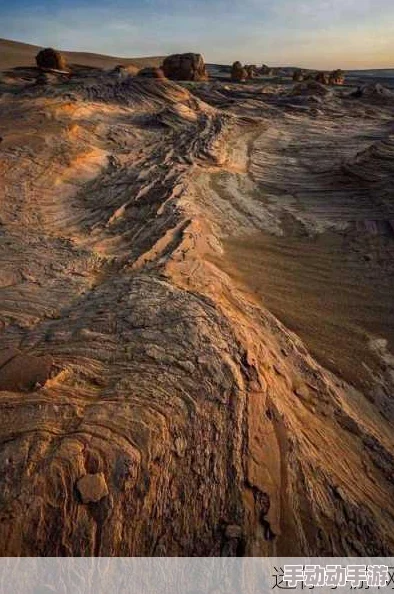 无人区编码6229JmV3：解析这一神秘编码背后的意义与应用，揭示其在无人区研究中的重要性与潜在价值