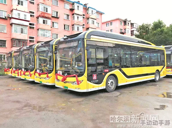 颠簸的公交车:在城市交通中,乘客们经历的不仅是行程,还有那一路上的颠簸与不便 颠簸的公交车:在城市交通中,乘客们经历的不仅是行程,还有那一路上的颠簸与不便