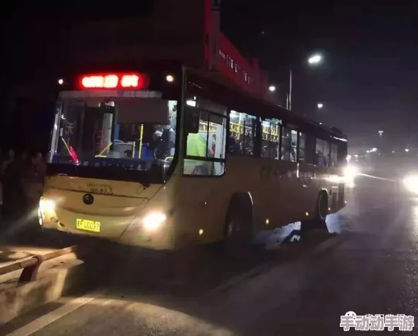 颠簸的公交车:在城市交通中,乘客们经历的不仅是行程,还有那一路上的颠簸与不便 颠簸的公交车:在城市交通中,乘客们经历的不仅是行程,还有那一路上的颠簸与不便