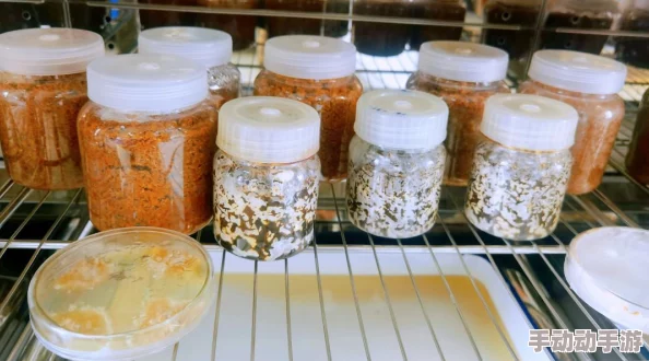 掌握我的世界：蘑菇牛专属饲养秘籍，揭秘它们偏爱的美味食物与喂养策略