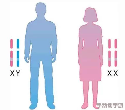 男ji大巴进入女人身体：探讨性别与身体界限的模糊化现象及其社会文化影响