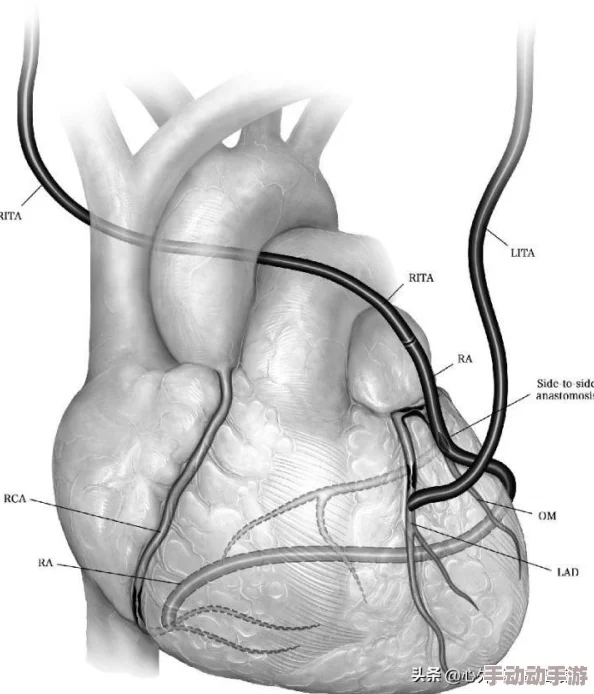 老婆说想找个陌生人试试复合:现代婚姻中的情感重建与心理适应研究分析 老婆说想找个陌生人试试复合:现代婚姻中的情感重建与心理适应研究分析