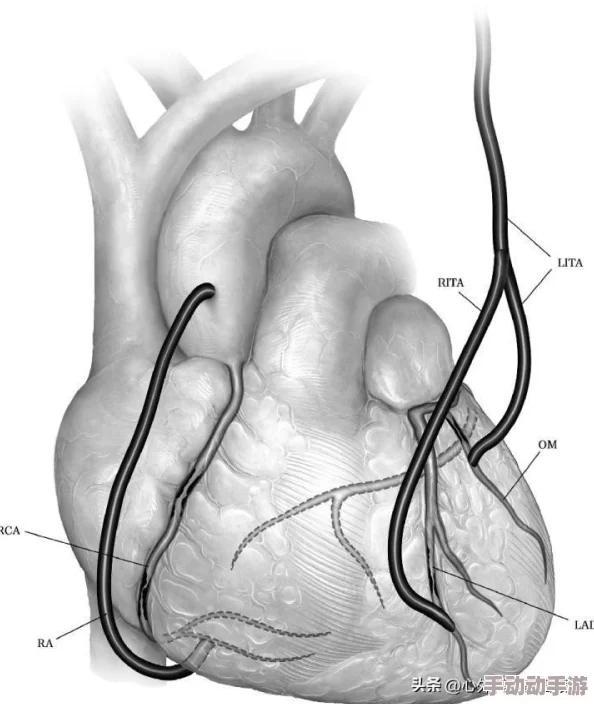 老婆说想找个陌生人试试复合:现代婚姻中的情感重建与心理适应研究分析 老婆说想找个陌生人试试复合:现代婚姻中的情感重建与心理适应研究分析