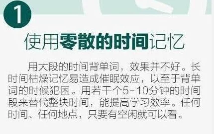 坐在学霸的棍子上背单词电影：如何通过趣味学习提升记忆力与语言能力的全新方法