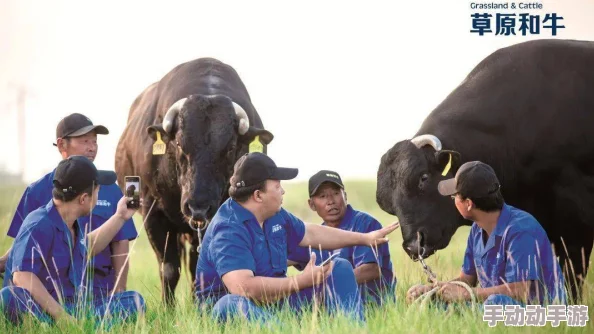 老牛嫩草一三产品是杂牌子吗？业内人士曝料背后惊人内幕令人震惊！