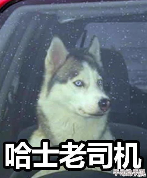 震惊！佛珠一颗一颗往里面放啊哈，竟然揭开了隐藏在宗教背后的神秘面纱！