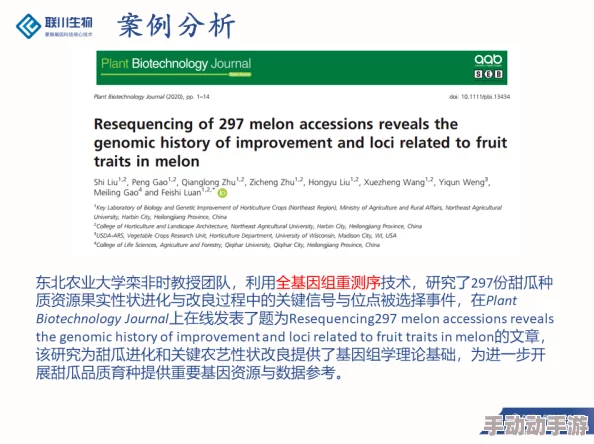 beeg日本：深入了解这个成人内容平台在日本的影响力与用户群体分析