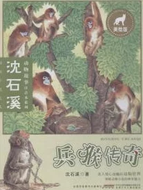 灯笼怪：揭示中国民间传说中的神秘生物及其文化象征意义的研究与分析