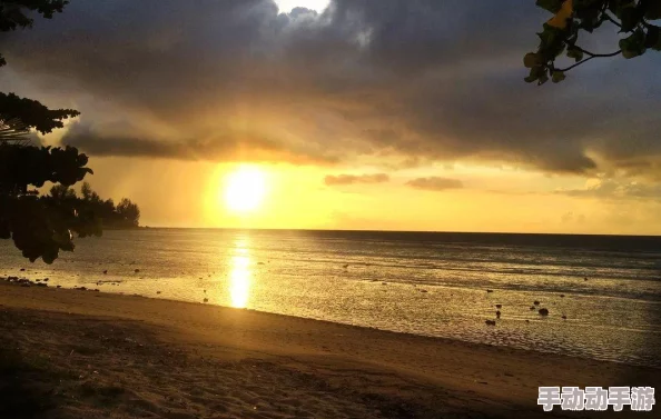 海角-原创：探讨海岸生态保护与可持续发展的重要性及其对社区经济的影响