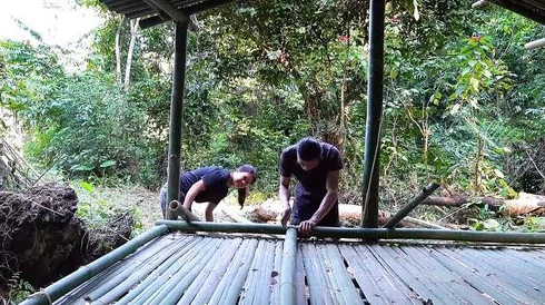 探秘荒野生存技巧:高效采集竹材策略与天然蜂蜜获取秘籍 探秘荒野生存技巧:高效采集竹材策略与天然蜂蜜获取秘籍