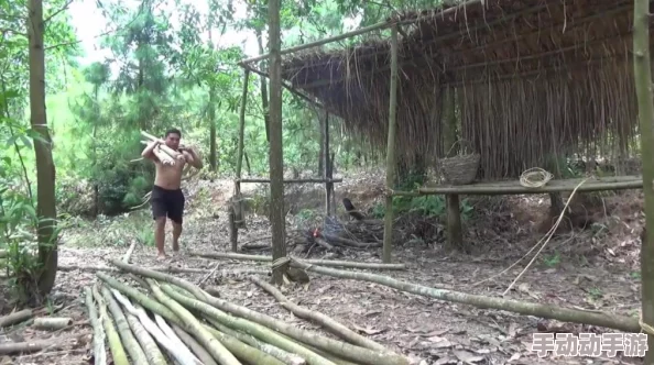 探秘荒野生存技巧:高效采集竹材策略与天然蜂蜜获取秘籍 探秘荒野生存技巧:高效采集竹材策略与天然蜂蜜获取秘籍