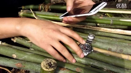 探秘荒野生存技巧:高效采集竹材策略与天然蜂蜜获取秘籍 探秘荒野生存技巧:高效采集竹材策略与天然蜂蜜获取秘籍