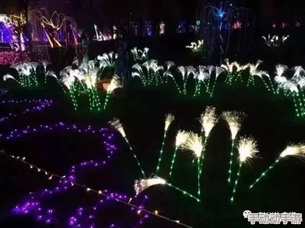 震撼来袭！沈芙一夜之间成全球瞩目焦点，背后隐藏的秘密揭晓！