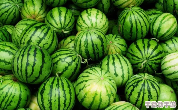 五一吃瓜今日吃瓜必吃！惊爆内幕：今年五一假期，吃瓜成为全国最热门活动，游客涌入瓜田！