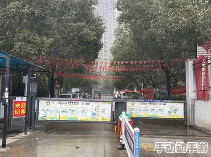 震惊！桃花源社区专线一天仅开三班，居民出行受限引发热议！桃花源社区专线一天几班