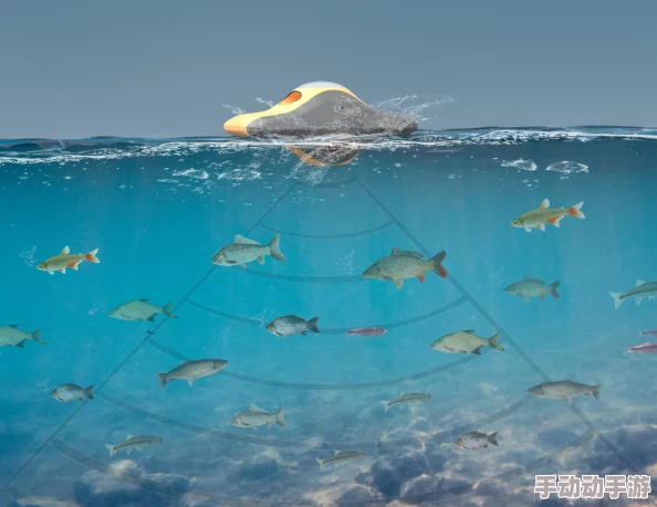 精准捕捉策略:揭秘鱼类生态习性,直击其生存弱点——高效捕鱼与智慧生存的启示录 精准捕捉策略:揭秘鱼类生态习性,直击其生存弱点——高效捕鱼与智慧生存的启示录