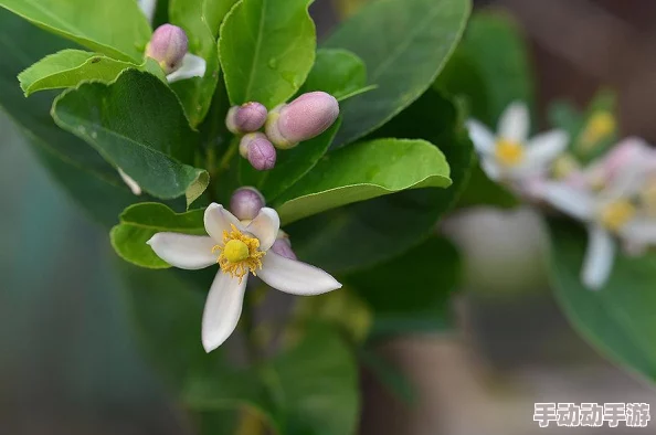 震惊！吃小豆豆的描写片段竟引发了全网热议，揭示了背后的惊人故事与深刻含义！