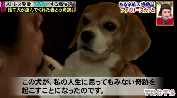 日本mindup狗狗意外发现竟能预测主人情绪，科学家震惊其潜在智能水平！