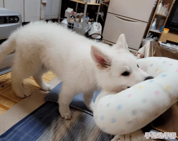 震惊！▓成人榴莲视频▓无码免费竟然引发社会热议，网友纷纷表示难以置信！