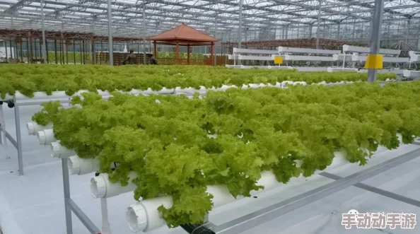 17c一起种草:全球首款超高科技植物种植设备即将上市,打造理想家园新革命! 17c一起种草:全球首款超高科技植物种植设备即将上市,打造理想家园新革命!