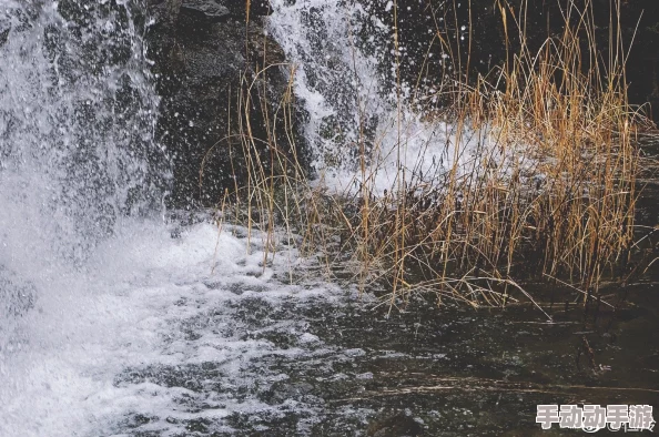 甘雨白水流淌了一地：探讨自然与人文交融的美丽景象与其对生态平衡的影响