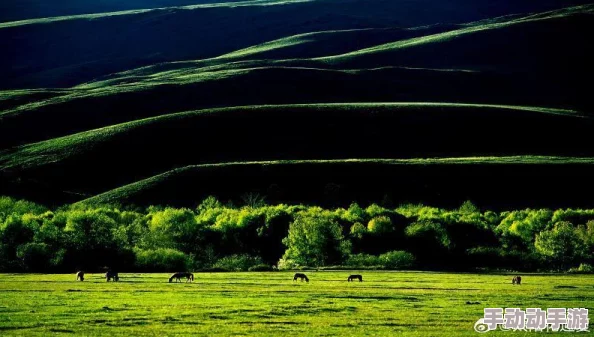 甘雨白水流淌了一地：探讨自然与人文交融的美丽景象与其对生态平衡的影响