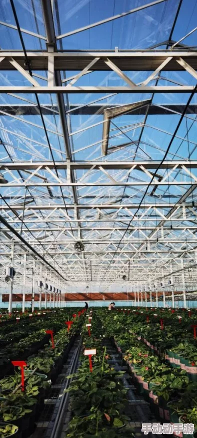 草莓视频在线：探讨其在现代数字文化中的影响与发展趋势，分析用户行为及内容创作的多样性与创新性