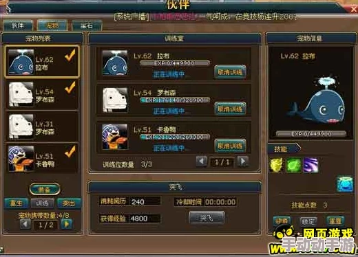 热血江湖手游萌新攻略:精选宠物搭配,解锁实战高效新伙伴推荐 热血江湖手游萌新攻略:精选宠物搭配,解锁实战高效新伙伴推荐