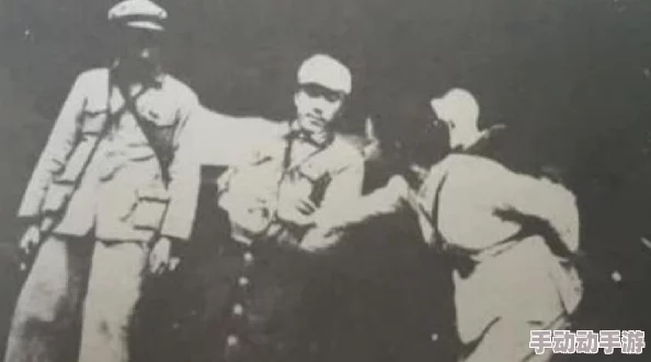 中国老太婆BBBB毛多水多，生活习惯与健康状况引发广泛关注和讨论