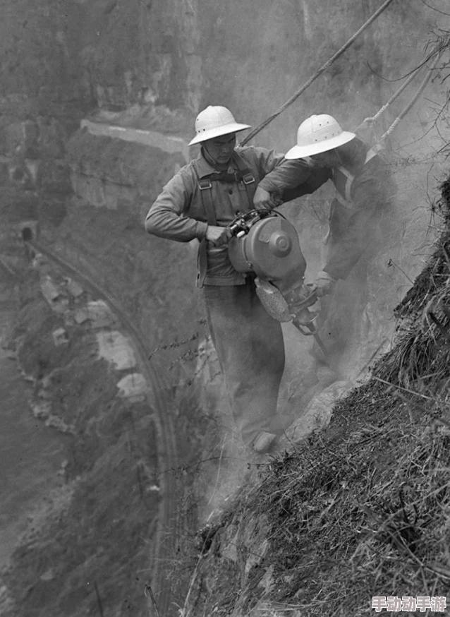 二人生猴子全程无被子免费，网友热议：这究竟是怎样的奇妙体验？