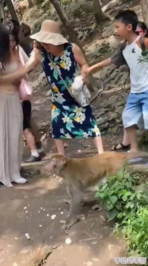 二人生猴子全程无被子免费，网友热议：这究竟是怎样的奇妙体验？