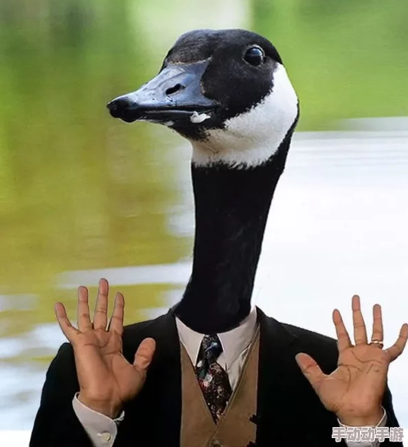 欧美人与禽猛交乱配引发热议,网友纷纷表示震惊与不解,认为这种现象反映了社会的某种病态 欧美人与禽猛交乱配引发热议,网友纷纷表示震惊与不解,认为这种现象反映了社会的某种病态