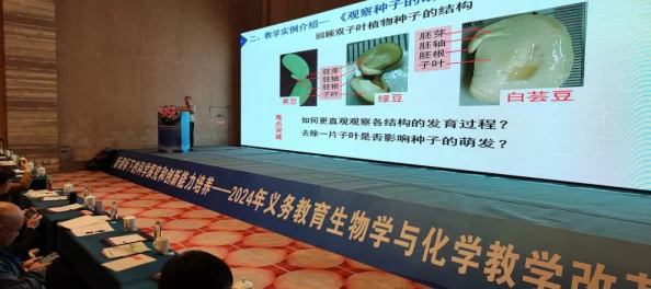 坤坤寒进桃子里的解决方法：最新研究成果揭示有效应对策略与实践案例分析