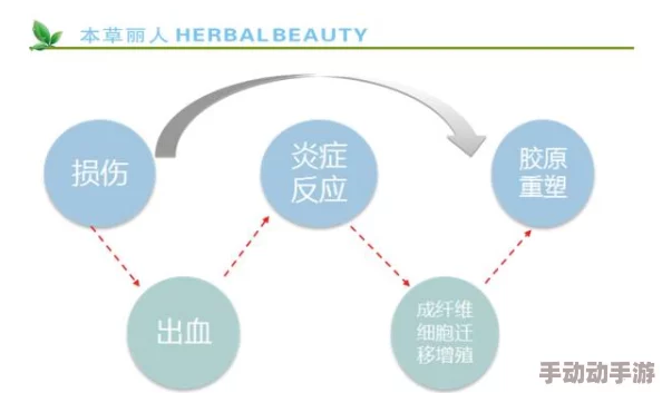微尘1v2骨科：探讨微尘技术在骨科领域的应用与发展，如何提升手术精度和患者康复效果